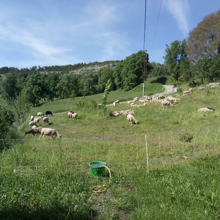 Les Logis De Lucie Apartman Selonnet Kültér fotó